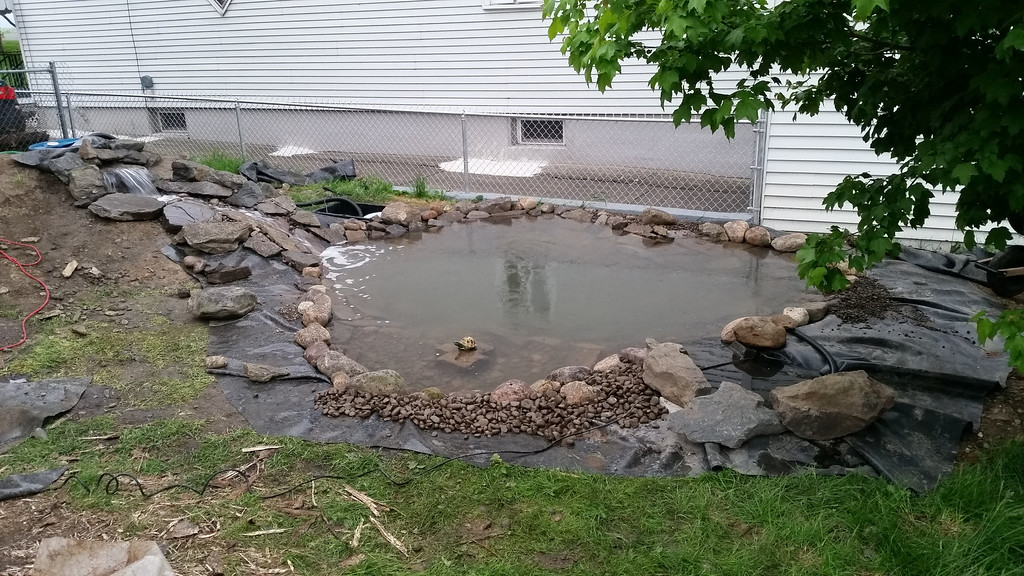 20140520_192654-XL.jpg