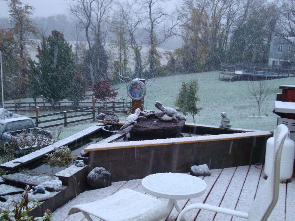 DSC02544.jpg