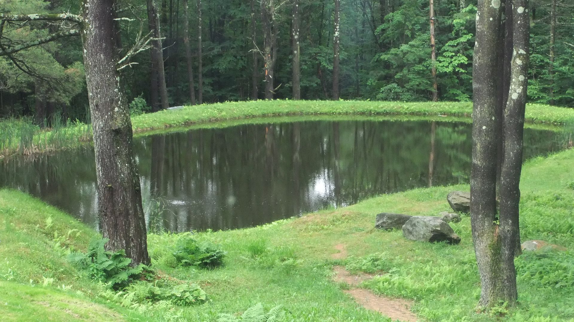 DSCF9009.jpg