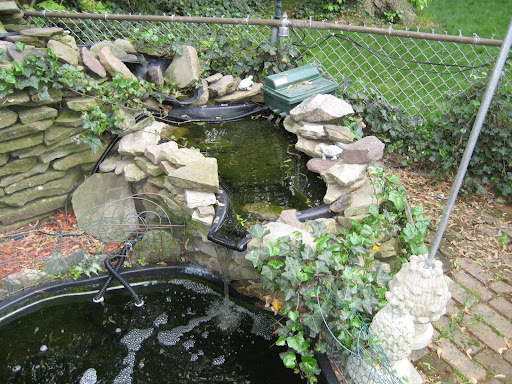 backyard%20011.jpg