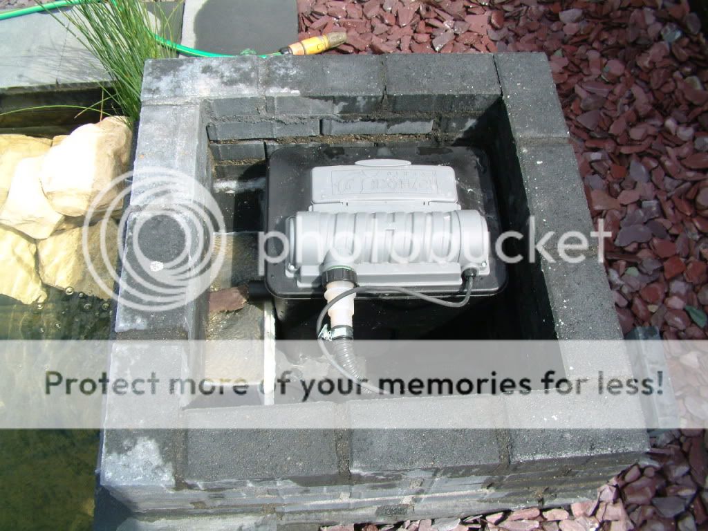DSCF4336.jpg