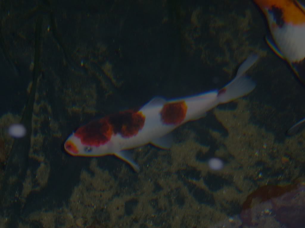 file-4.jpg