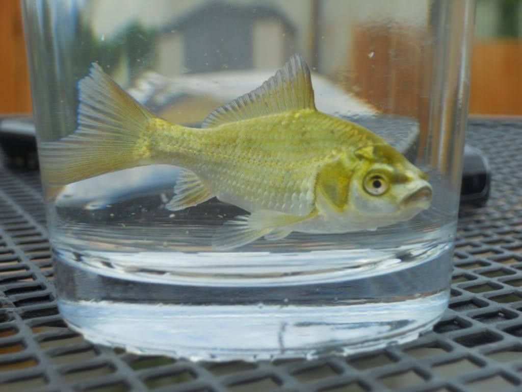 DSCN1052.jpg