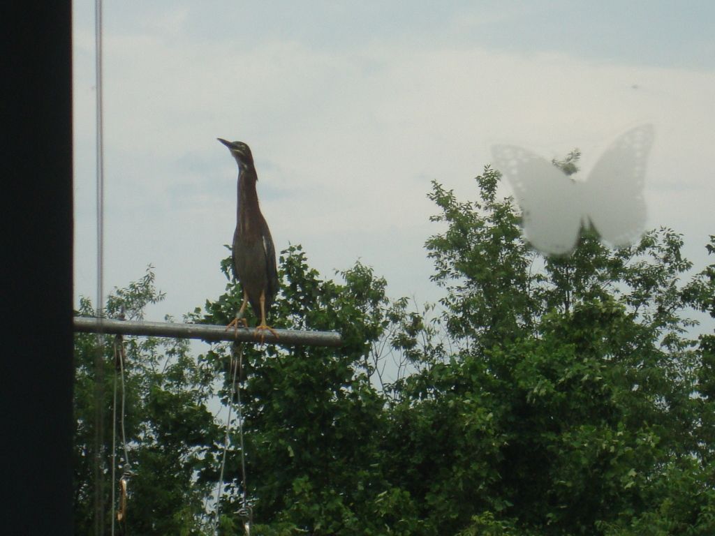 DSC03525.jpg