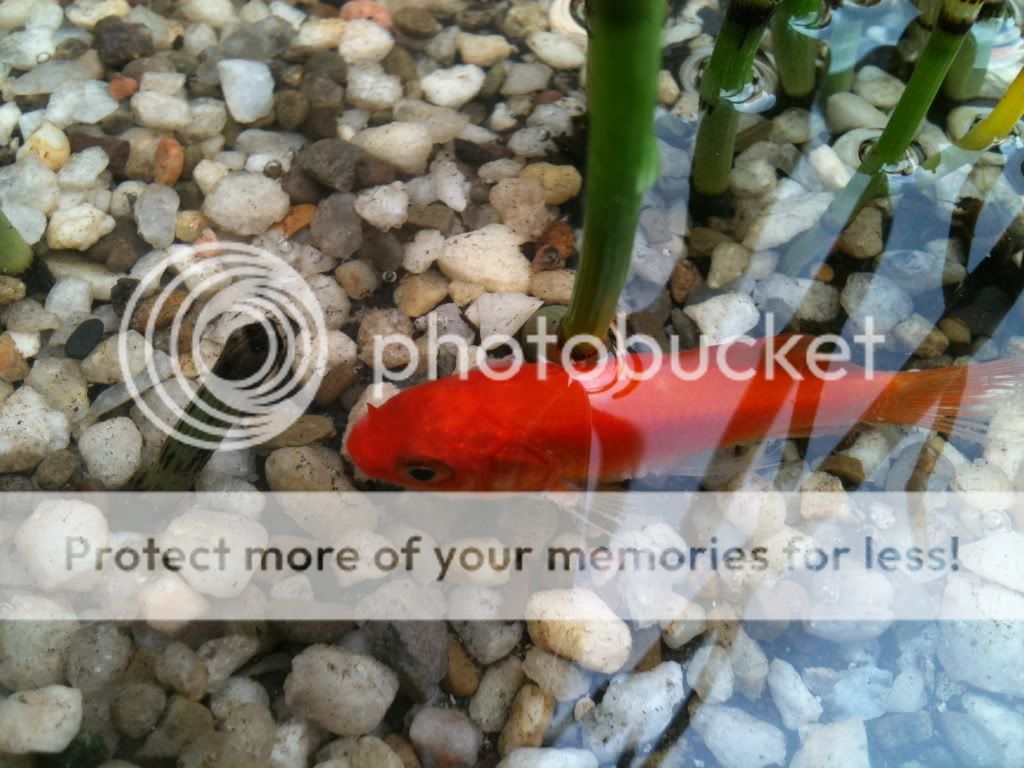 photo12.jpg
