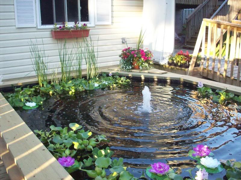 FinishedPond12.jpg