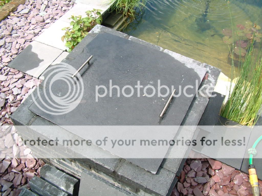 DSCF4331.jpg