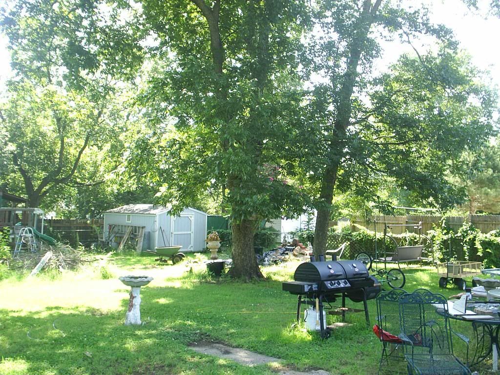PecanTrees08-04-2014.jpg