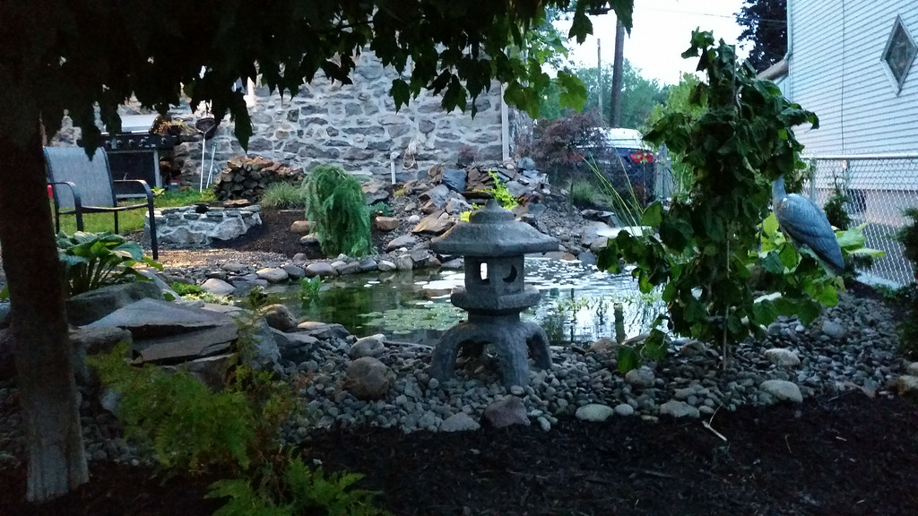 20140707_203646-XL.jpg