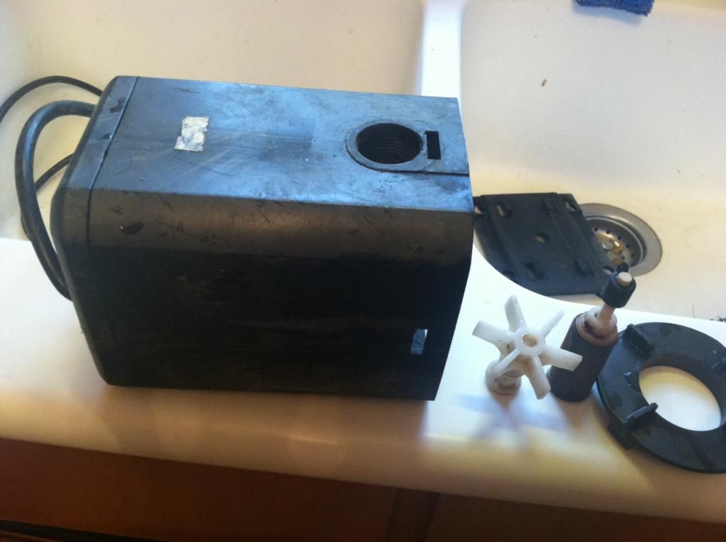 image5.jpeg