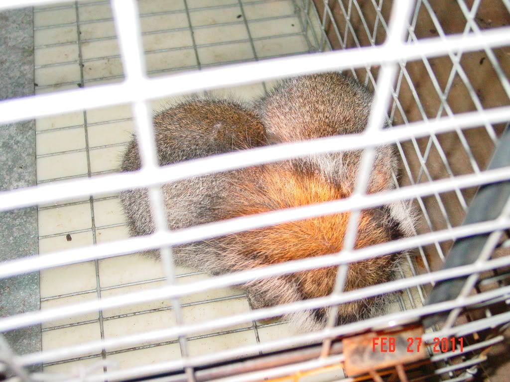 DSC01794.jpg