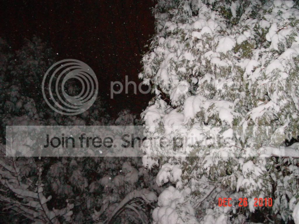 DSC01708.jpg