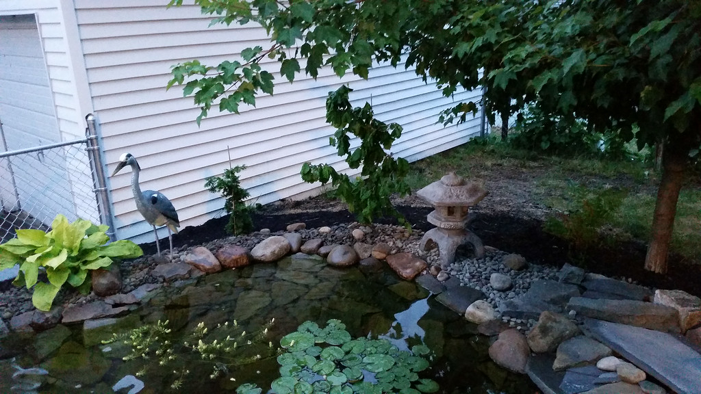 20140707_203702-XL.jpg