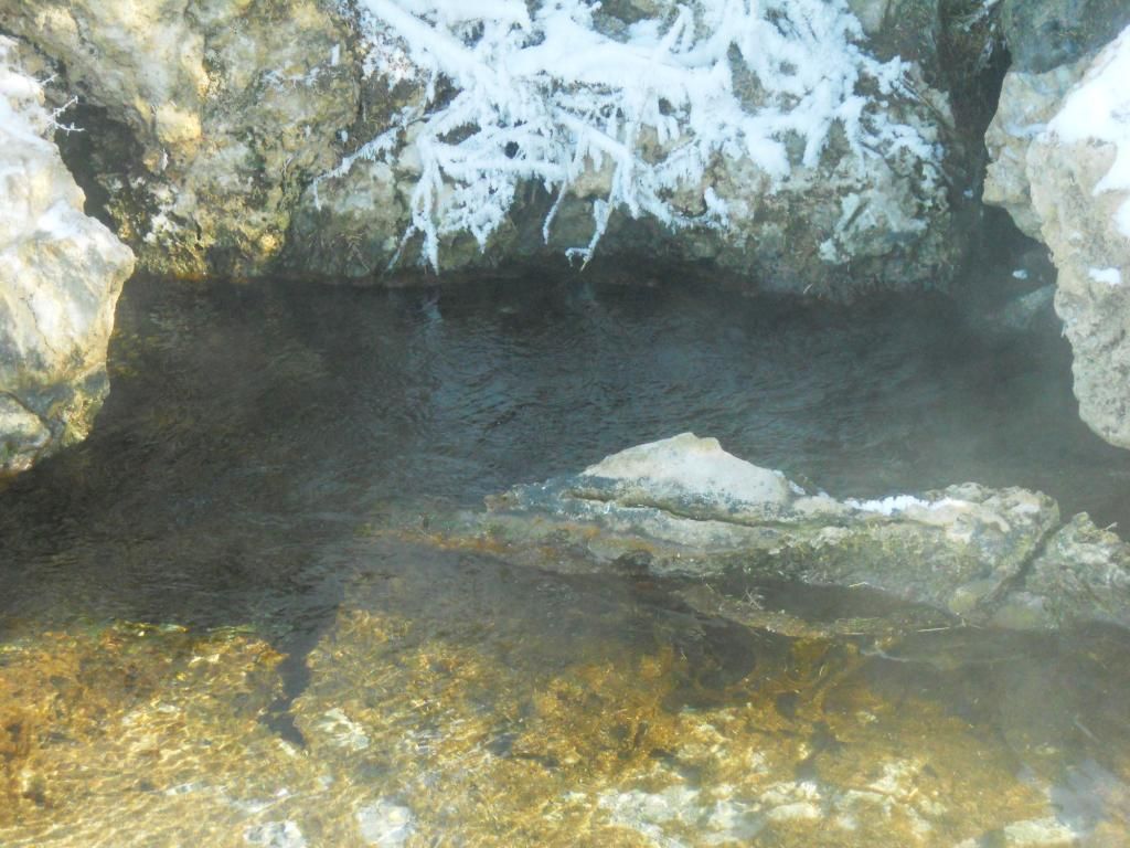 DSCN3329_zps1abd64ce.jpg