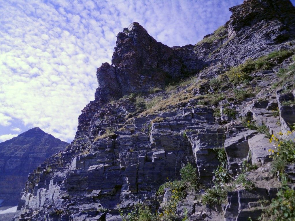 DSCN2893.jpg