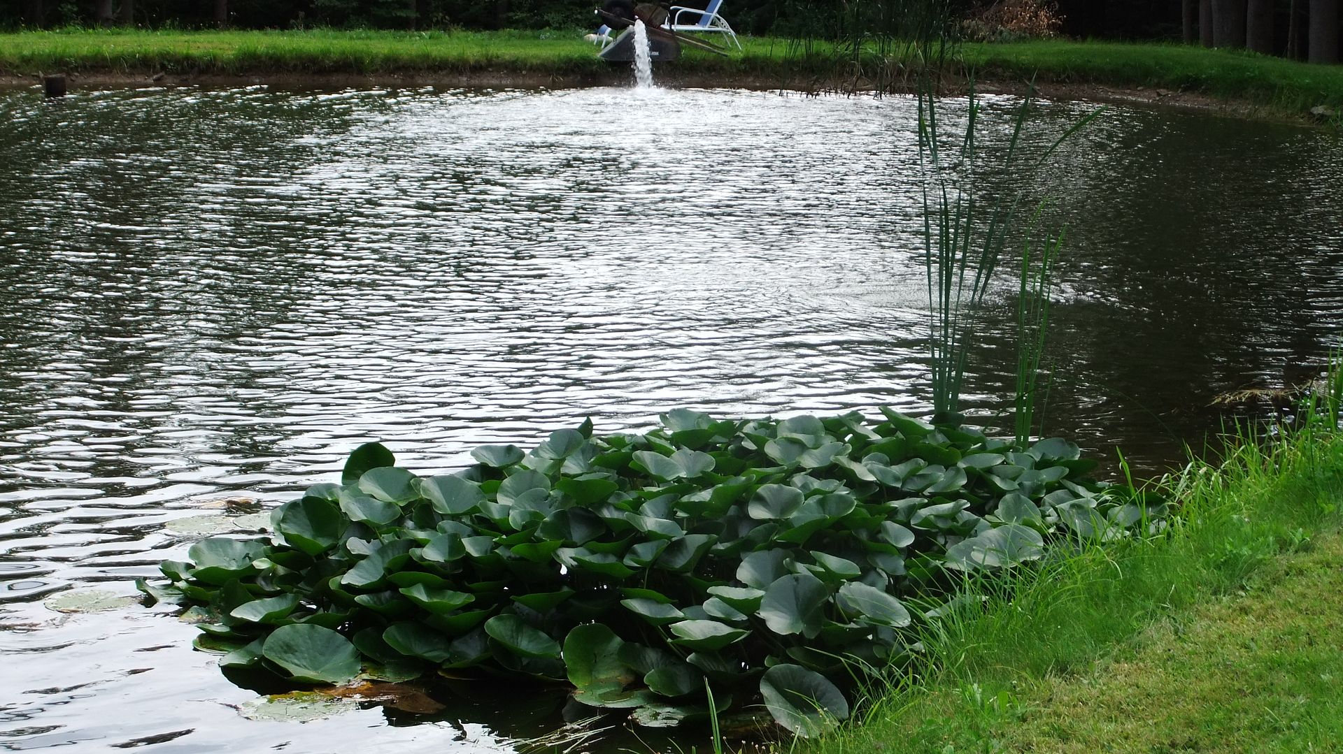 DSCF8723.jpg