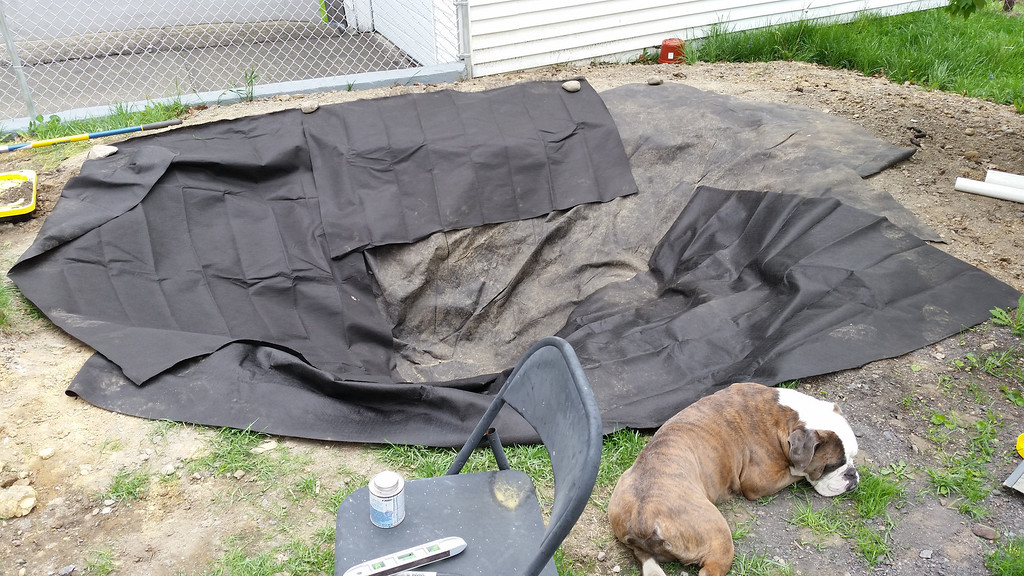 20140515_123910-XL.jpg