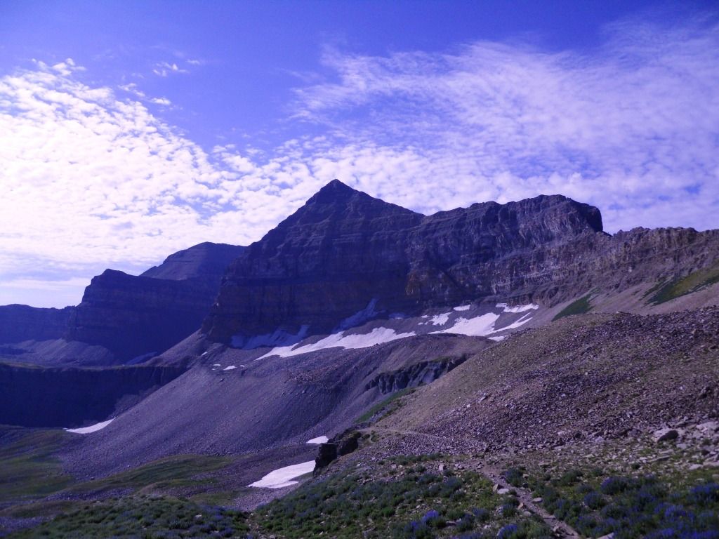 DSCN2891.jpg