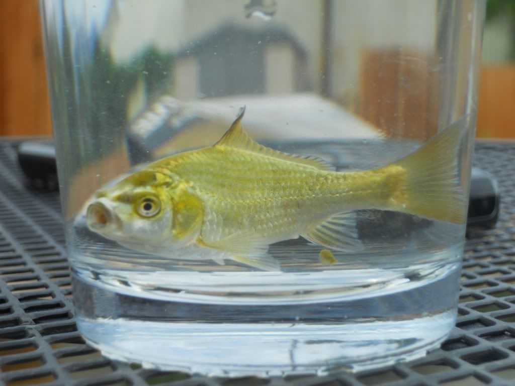 DSCN1053.jpg