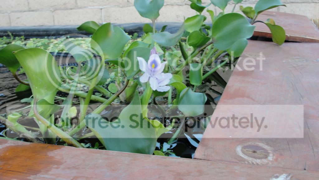 DSC00956.jpg