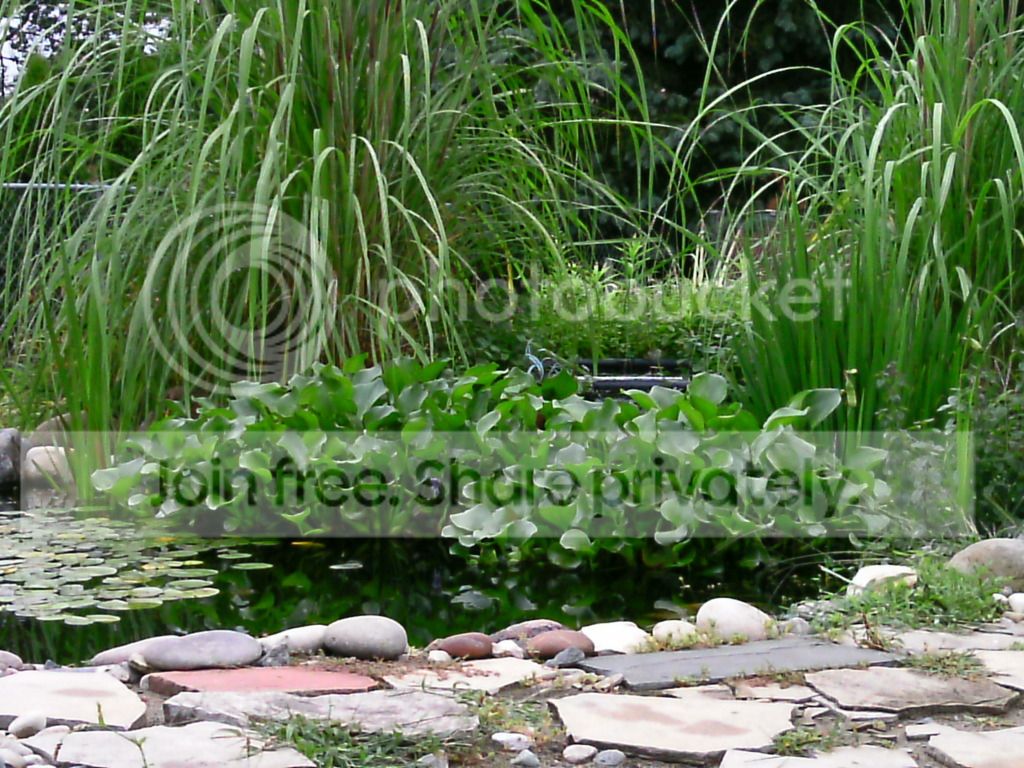 PTDC0001.jpg