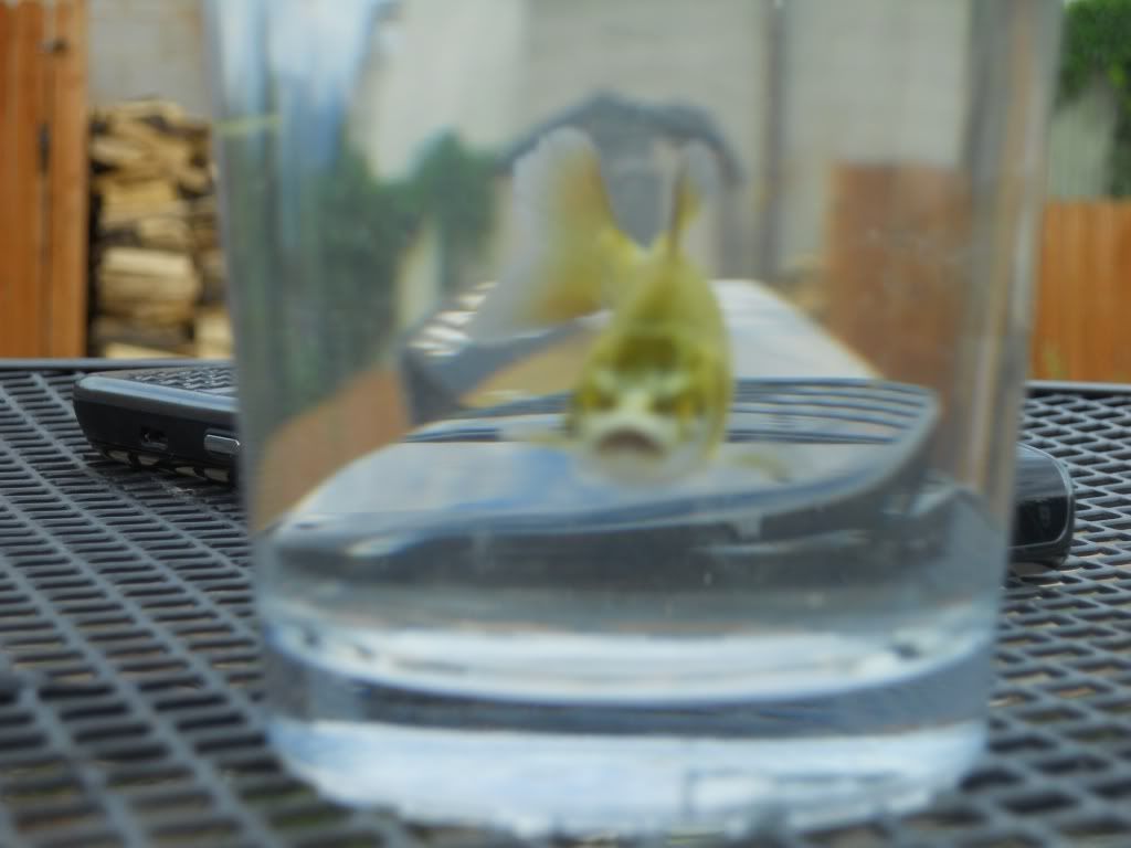 DSCN1058.jpg