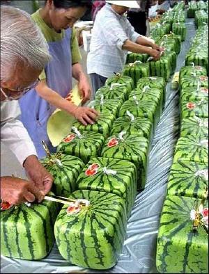 watermelon3_small.jpg