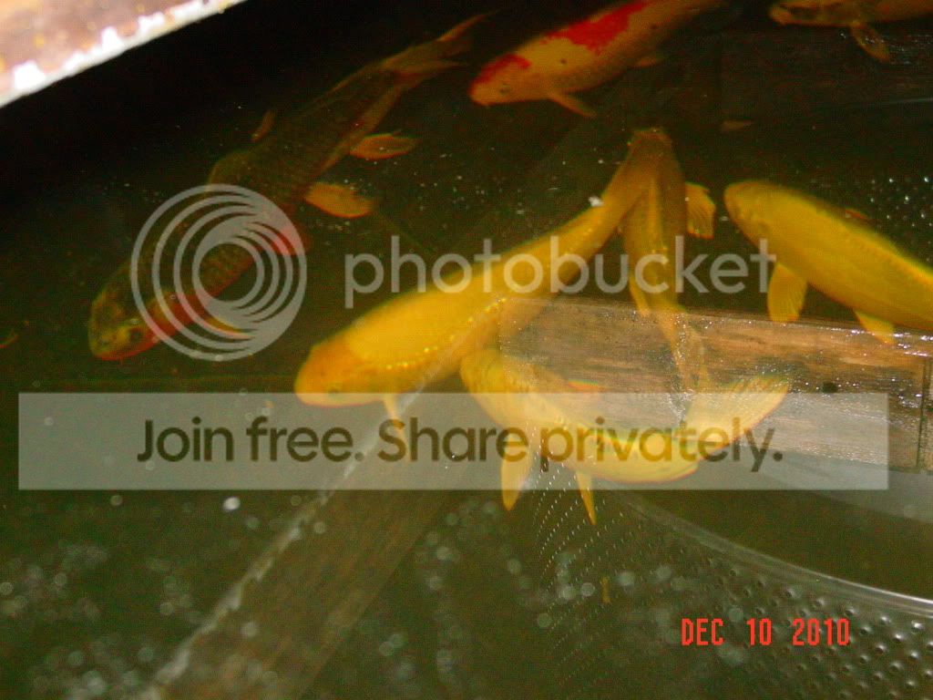 DSC01668.jpg