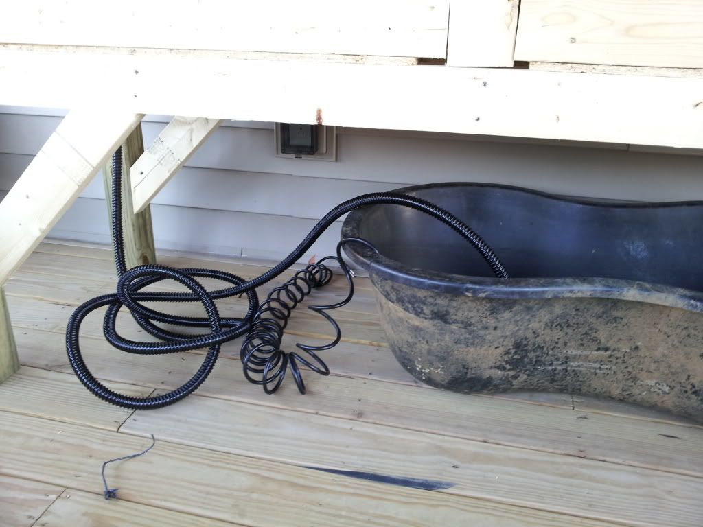 20120307_175411.jpg