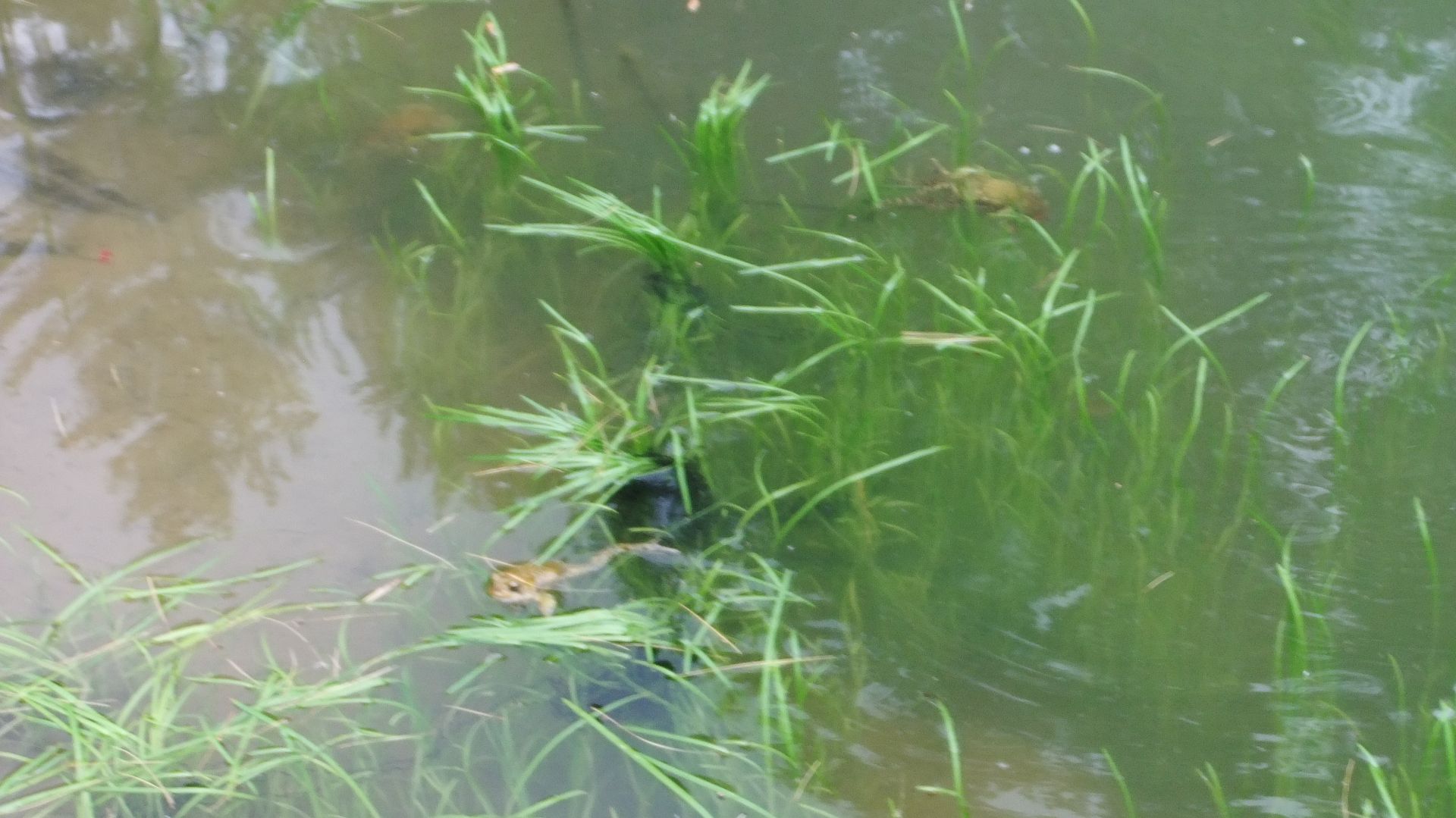 DSCF8632.jpg