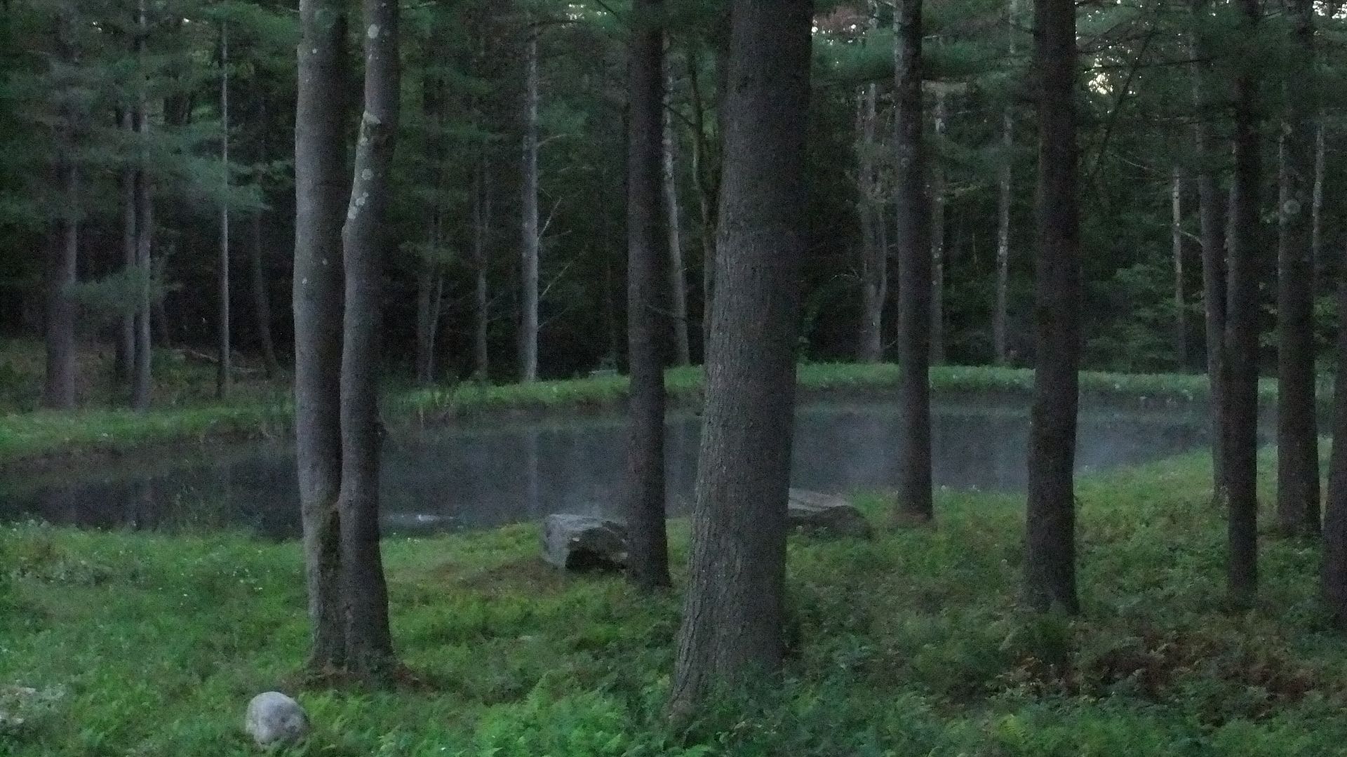 DSCF8712.jpg