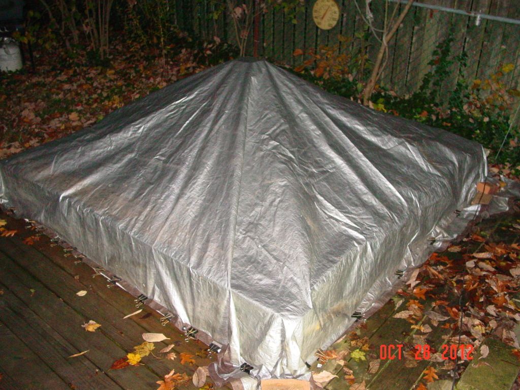 DSC02440.jpg