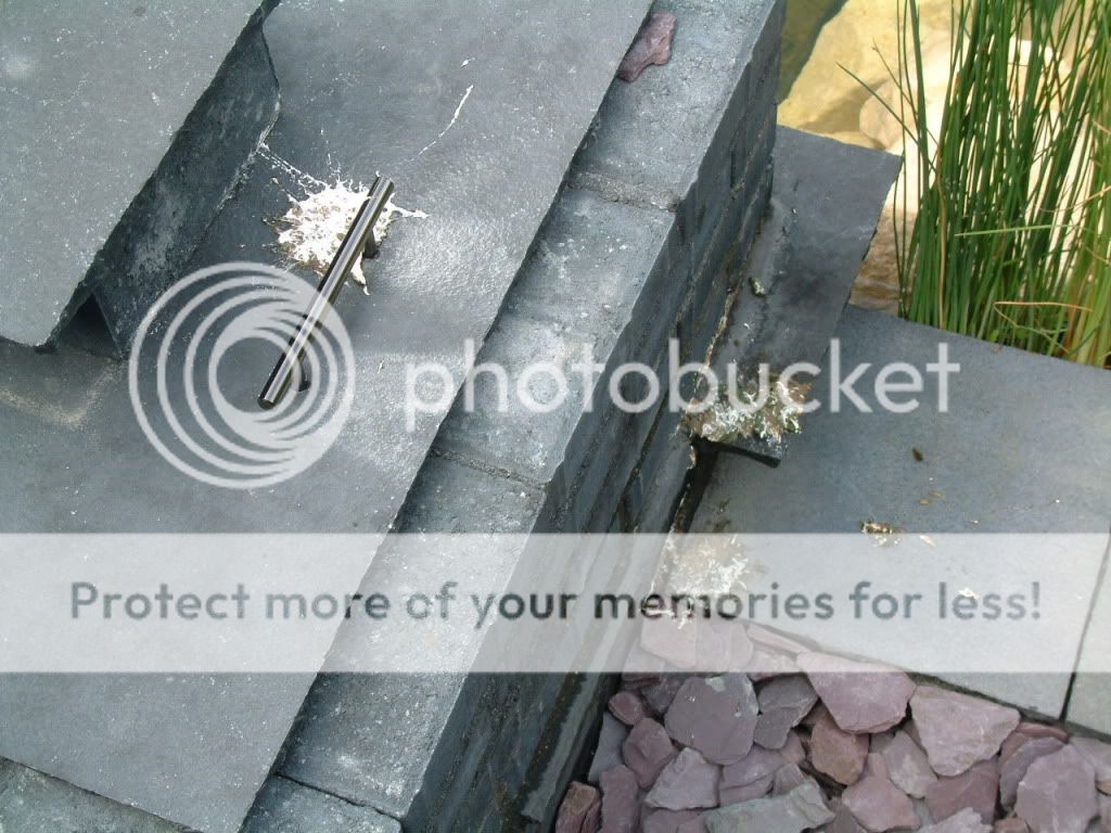 DSCF4330.jpg