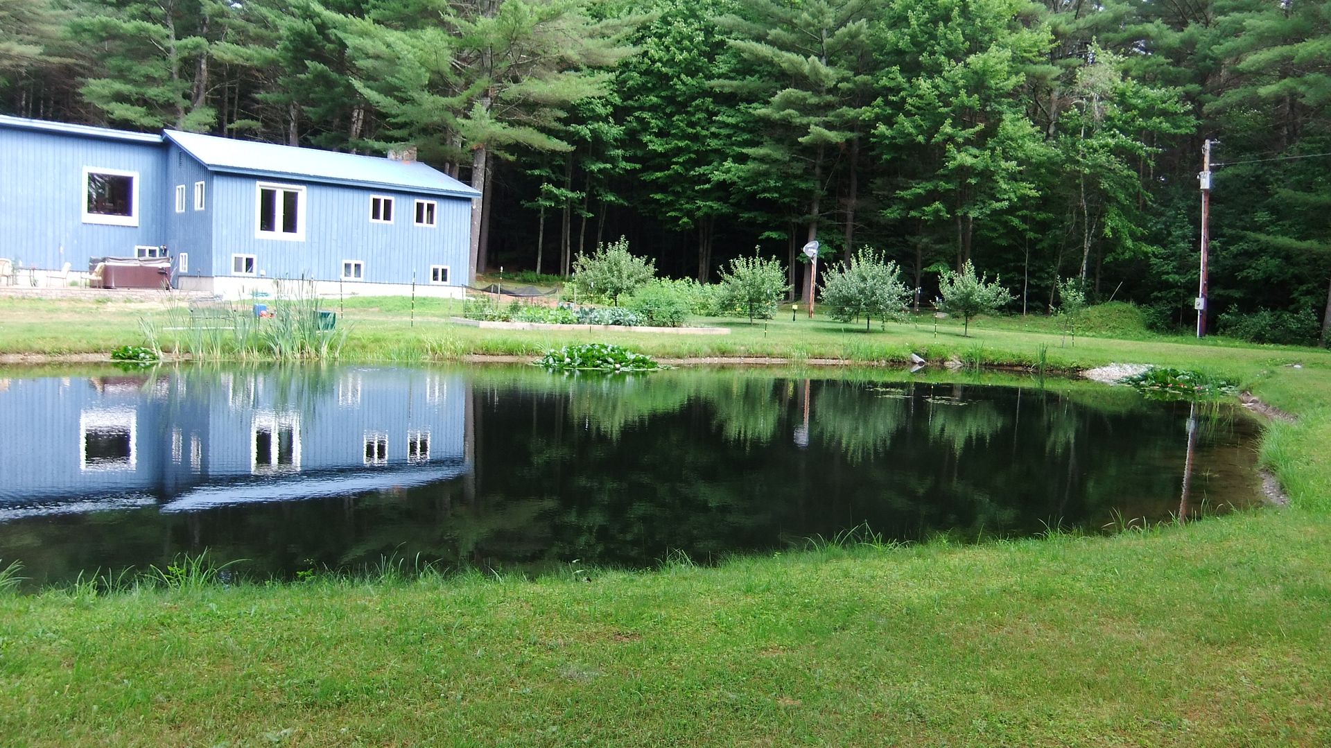 DSCF8696.jpg