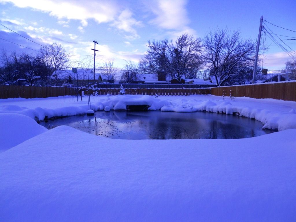 DSCN1724.jpg