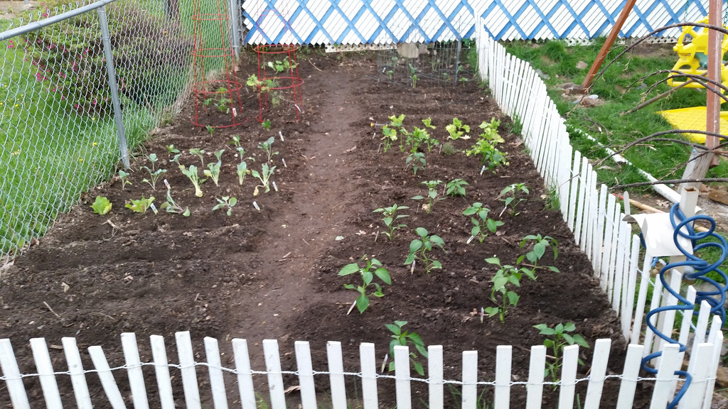 20140518_195023-XL.jpg