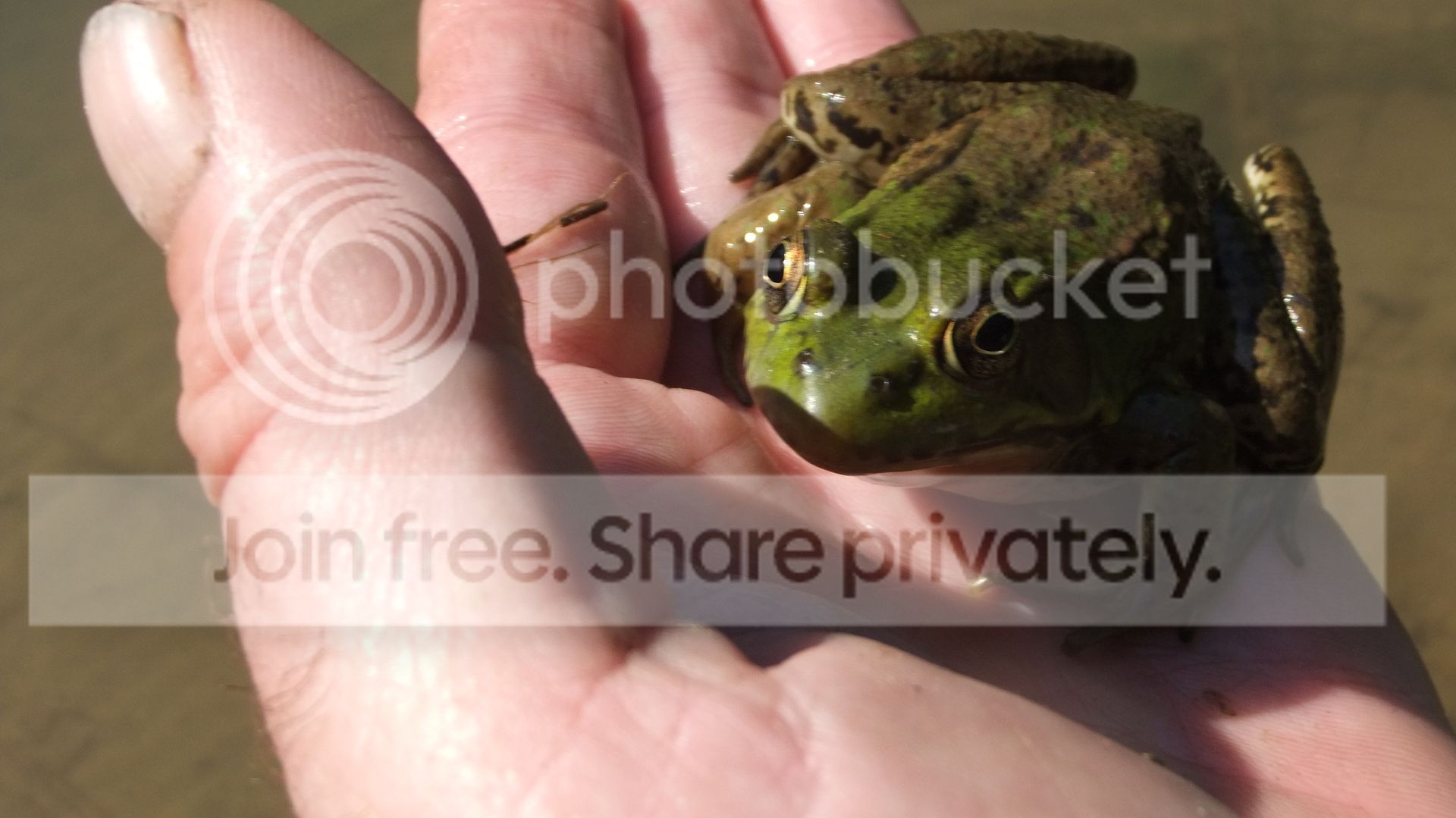 DSCF8646.jpg