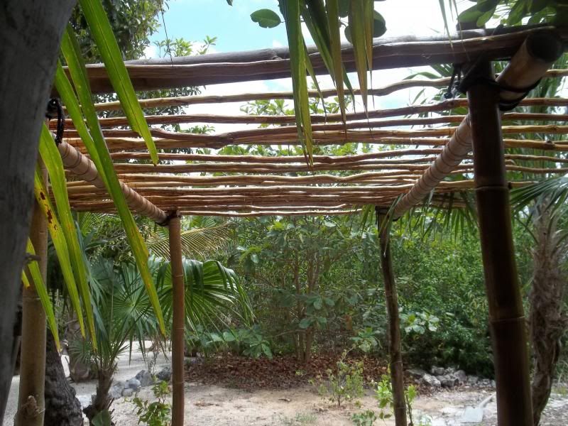 arbor002_zpsebe90565.jpg