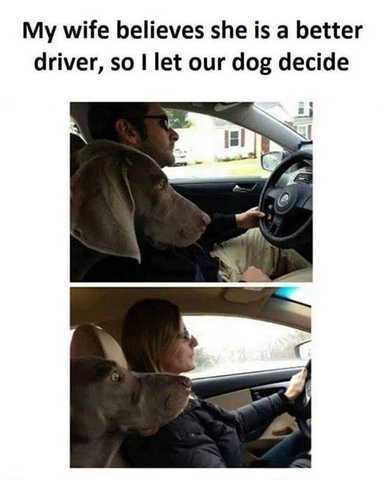 FqDXt8.jpg