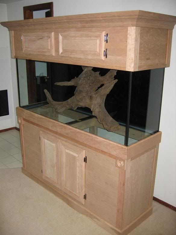 FishTank1.jpg