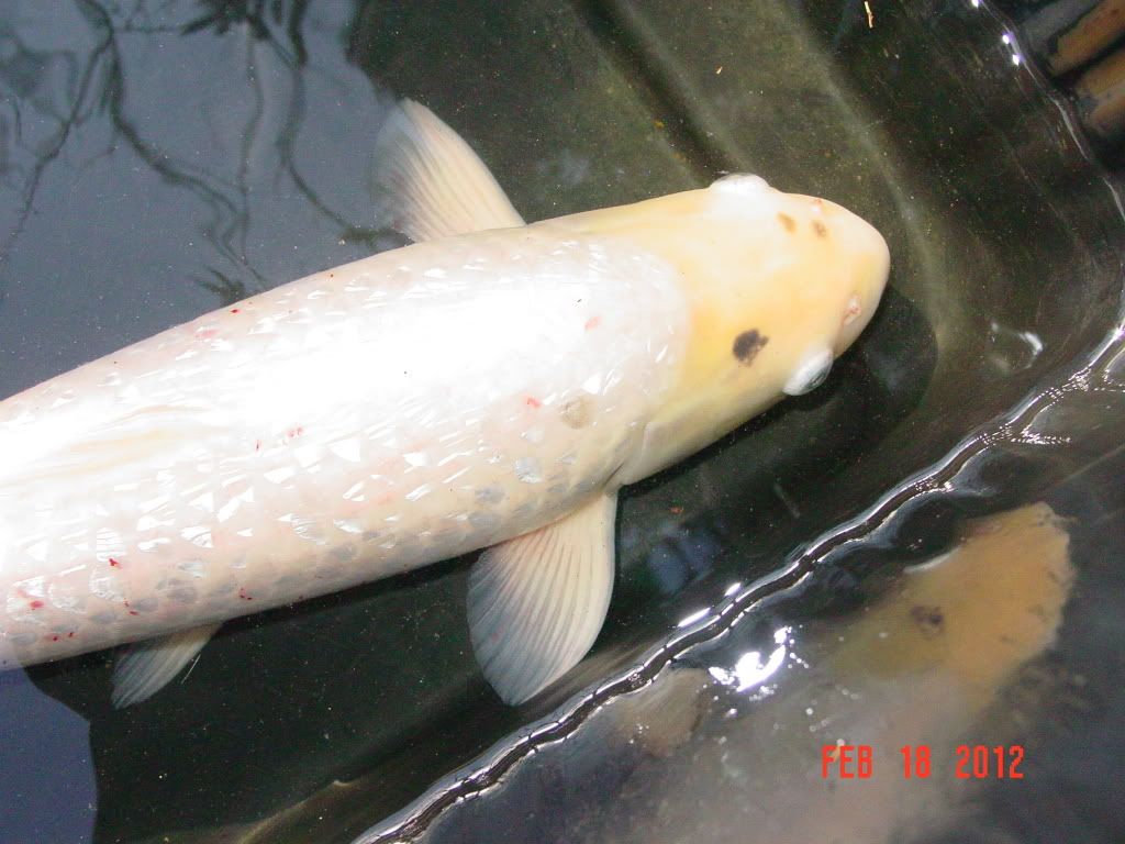 DSC02321.jpg
