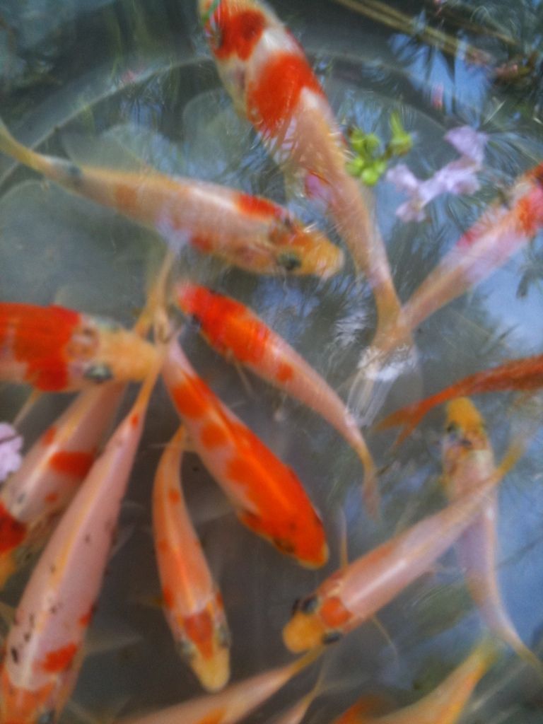 1fbb9470.jpg