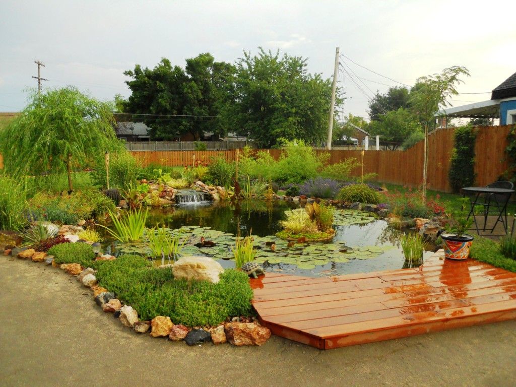 DSCN2608.jpg