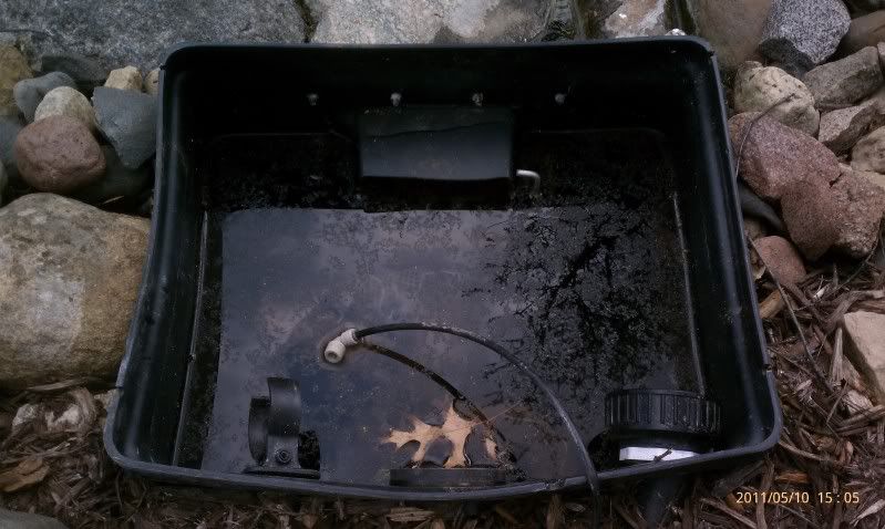 IMAG0203.jpg