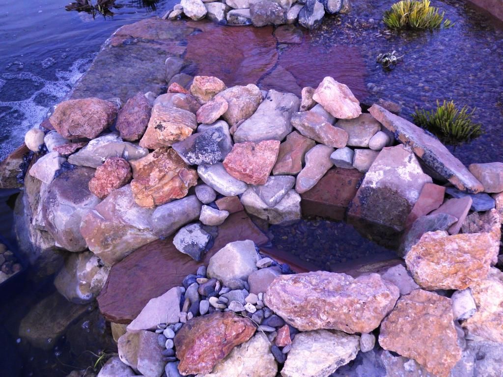 DSCN3502_zps31e04bf2.jpg