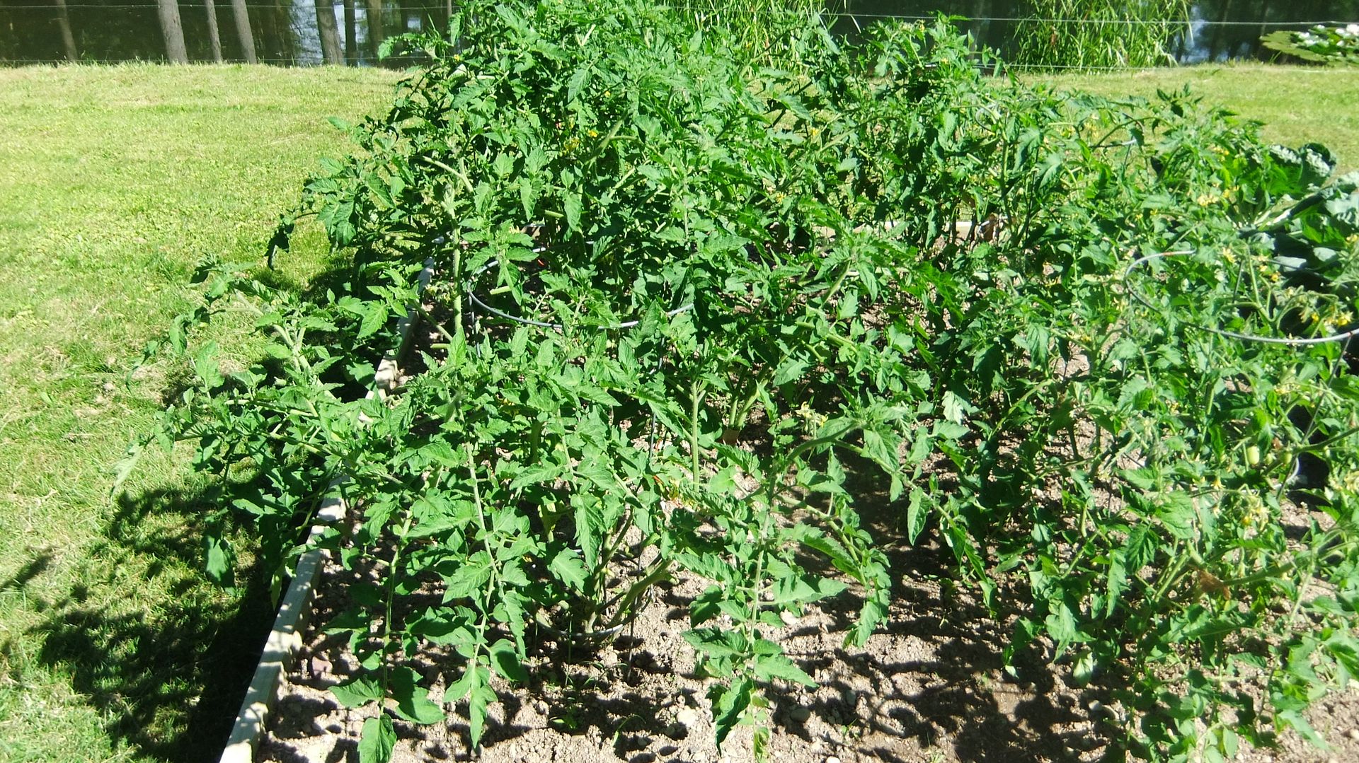 DSCF9072.jpg