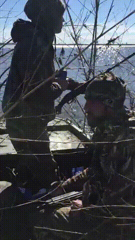 uzOXeC.gif