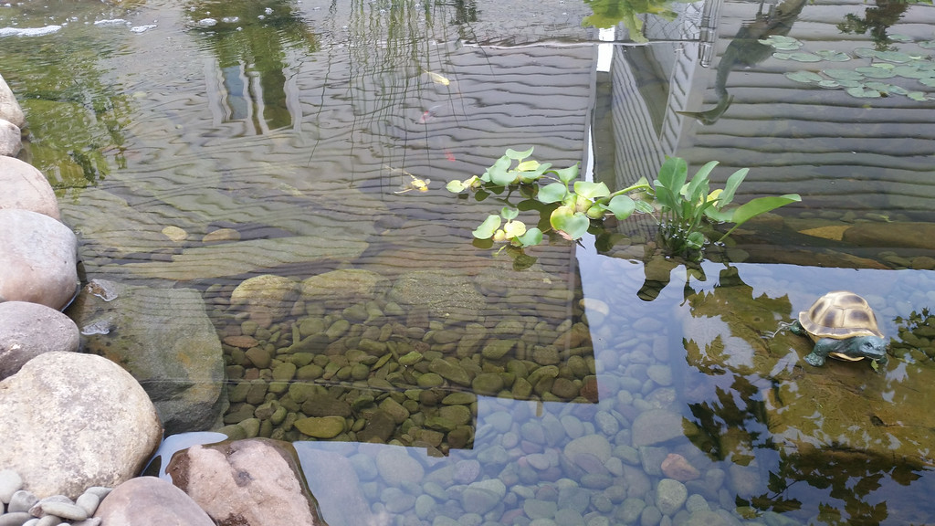 20140627_193909-XL.jpg