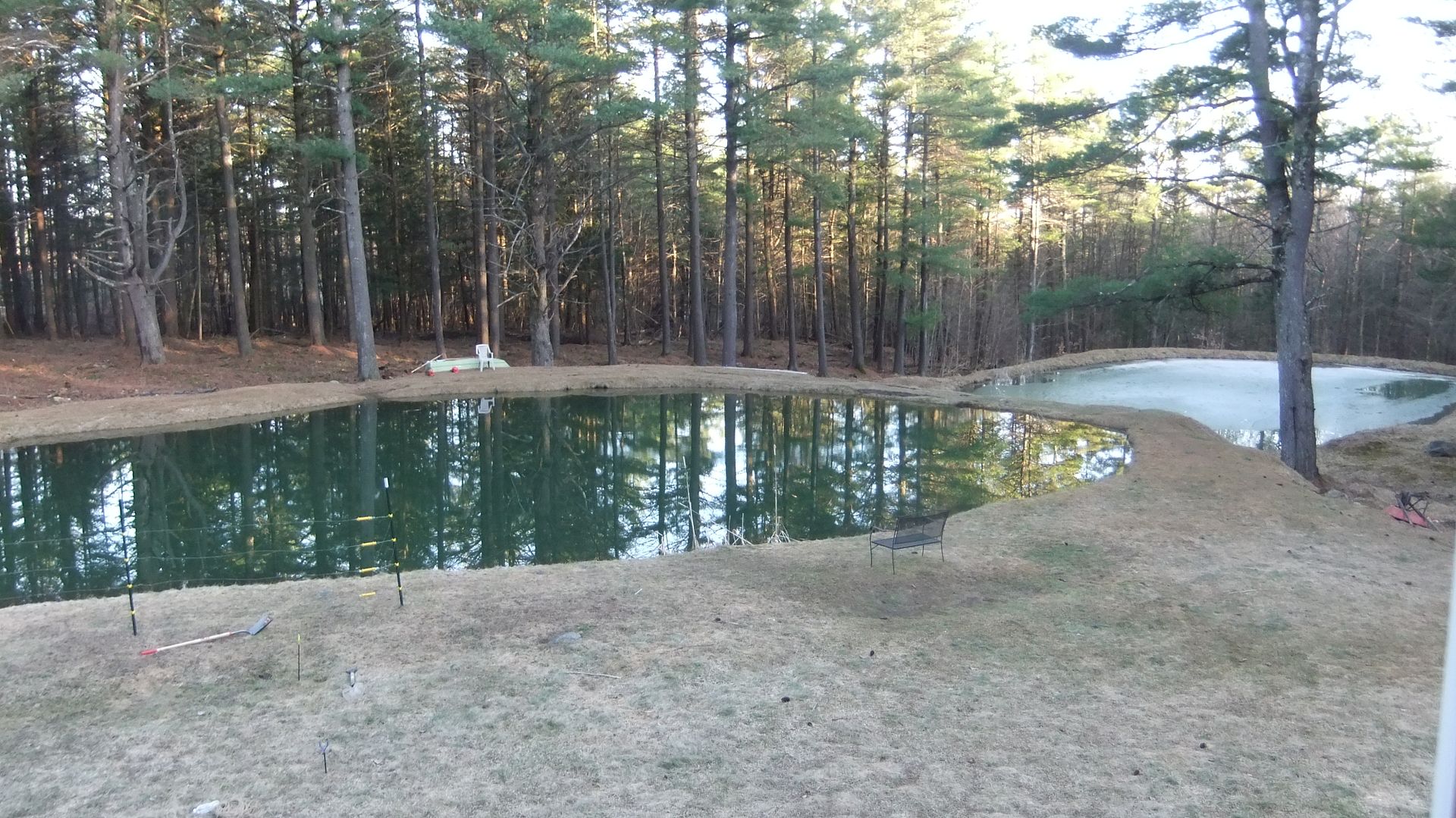 pond%20april%2015th%20001.jpg