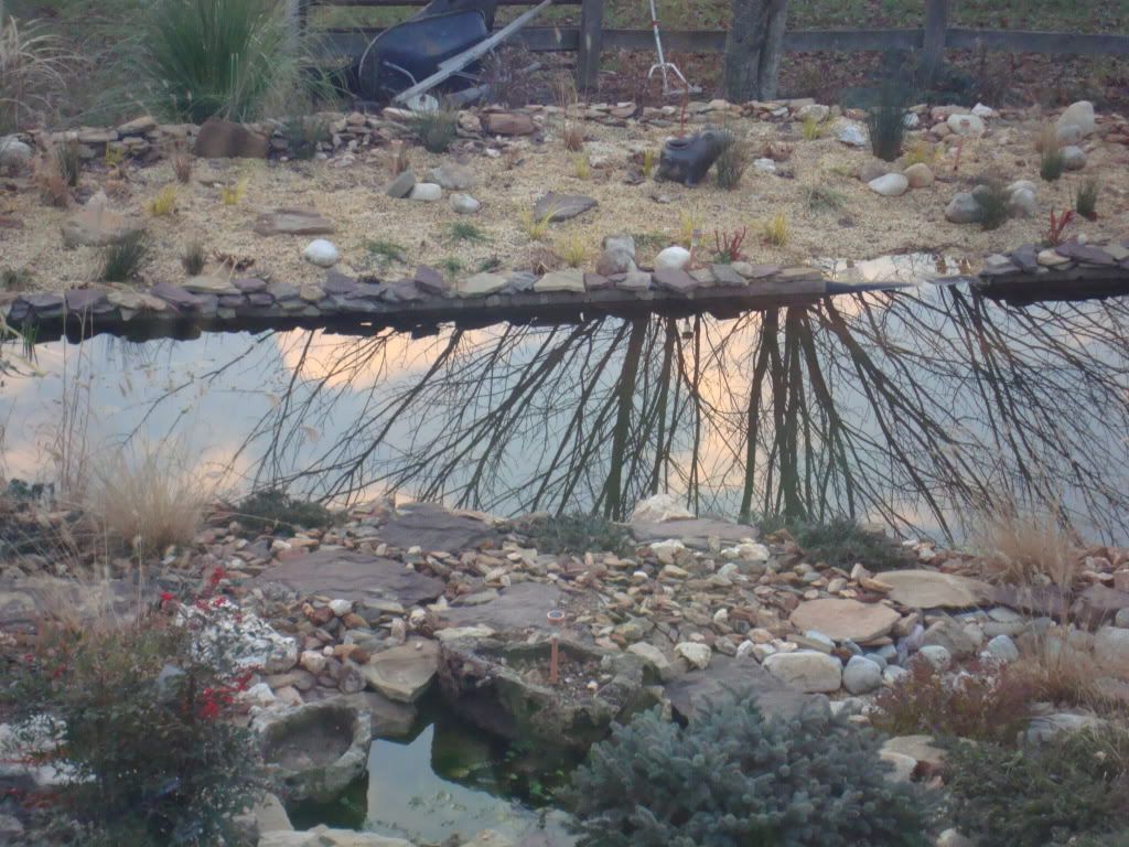 DSC00728.jpg